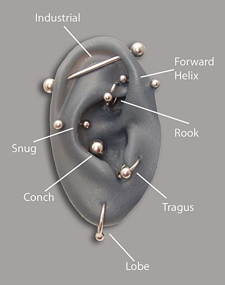 Different Ear Piercing Types and Ways of Wearing Them